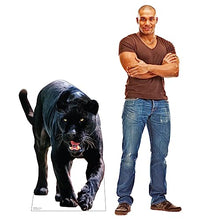 Load image into Gallery viewer, Advanced Graphics Black Jaguar Life Size Cardboard Cutout Standup - Made in USA - AT TEN Distribution