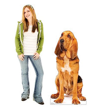 Load image into Gallery viewer, Advanced Graphics Bloodhound Life Size Cardboard Cutout Standup - Made in USA - AT TEN Distribution
