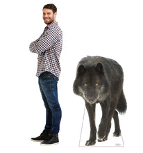 Load image into Gallery viewer, Advanced Graphics Canadian Black Wolf Life Size Cardboard Cutout Standup - Made in USA - AT TEN Distribution