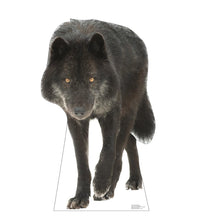 Load image into Gallery viewer, Advanced Graphics Canadian Black Wolf Life Size Cardboard Cutout Standup - Made in USA - AT TEN Distribution