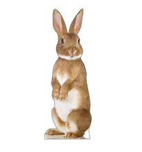 Load image into Gallery viewer, Advanced Graphics Church with Steeple Life Size Cardboard Cutout Standup - AT TEN Distribution