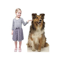 Load image into Gallery viewer, Advanced Graphics Collie Dog Life Size Cardboard Cutout Standup - AT TEN Distribution