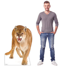 Load image into Gallery viewer, Advanced Graphics Cougar Life Size Cardboard Cutout Standup - Made in USA - AT TEN Distribution