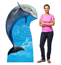 Load image into Gallery viewer, Advanced Graphics Dolphin Life Size Cardboard Cutout Standup - Made in USA - AT TEN Distribution