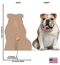 Load image into Gallery viewer, Advanced Graphics English Bull Dog Life Size Cardboard Cutout Standup - Made in USA - AT TEN Distribution