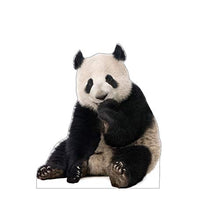 Load image into Gallery viewer, Advanced Graphics Giant Panda Life Size Cardboard Cutout Standup - AT TEN Distribution