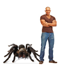 Load image into Gallery viewer, Advanced Graphics Giant Tarantula Life Size Cardboard Cutout Standup - Made in USA - AT TEN Distribution