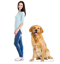Load image into Gallery viewer, Advanced Graphics Golden Retriever Life Size Cardboard Cutout Standup - Made in USA - AT TEN Distribution