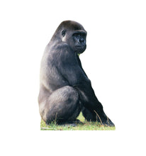 Load image into Gallery viewer, Advanced Graphics Gorilla Life Size Cardboard Cutout Standup - AT TEN Distribution