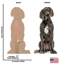 Load image into Gallery viewer, Advanced Graphics Great Dane Life Size Cardboard Cutout Standup - Made in USA - AT TEN Distribution