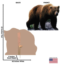 Load image into Gallery viewer, Advanced Graphics Grizzly Bear Life Size Cardboard Cutout Standup - AT TEN Distribution