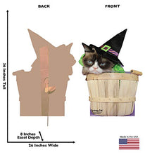 Load image into Gallery viewer, Advanced Graphics Grumpy Cat Halloween Life Size Cardboard Cutout Standup - AT TEN Distribution