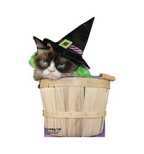 Load image into Gallery viewer, Advanced Graphics Grumpy Cat Halloween Life Size Cardboard Cutout Standup - AT TEN Distribution