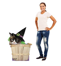 Load image into Gallery viewer, Advanced Graphics Grumpy Cat Halloween Life Size Cardboard Cutout Standup - AT TEN Distribution