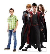 Load image into Gallery viewer, Advanced Graphics Harry, Hermione & Ron in Robes Life Size Cardboard Cutout Standup - Harry Potter and The Order of The Phoenix - AT TEN Distribution