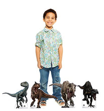 Load image into Gallery viewer, Advanced Graphics Jurassic World Mini Standees Set of 4 (T - Rex, Indoraptor, Camotaurus & Blue) Mini Cardboard Cutouts - AT TEN Distribution