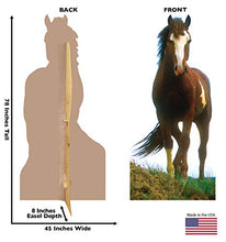 Load image into Gallery viewer, Advanced Graphics Mustang Horse Life Size Cardboard Cutout Standup - AT TEN Distribution