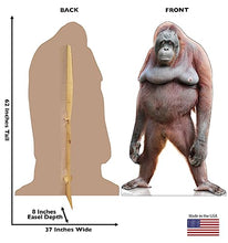 Load image into Gallery viewer, Advanced Graphics Orangutan Life Size Cardboard Cutout Standup - Made in USA - AT TEN Distribution