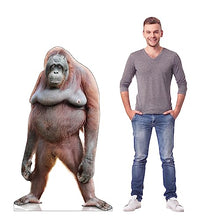 Load image into Gallery viewer, Advanced Graphics Orangutan Life Size Cardboard Cutout Standup - Made in USA - AT TEN Distribution