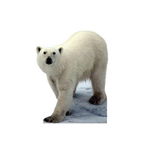 Load image into Gallery viewer, Advanced Graphics Polar Bear Life Size Cardboard Cutout Standup - AT TEN Distribution