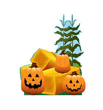 Load image into Gallery viewer, Advanced Graphics Pumpkin Patch Life Size Cardboard Cutout Standup - AT TEN Distribution