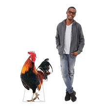 Load image into Gallery viewer, Advanced Graphics Rooster Life Size Cardboard Cutout Standup - Made in USA - AT TEN Distribution