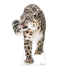 Load image into Gallery viewer, Advanced Graphics Snow Leopard Life Size Cardboard Cutout Standup - Made in USA - AT TEN Distribution