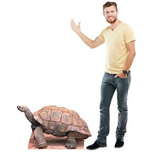 Load image into Gallery viewer, Advanced Graphics Tortoise Life Size Cardboard Cutout Standup - AT TEN Distribution