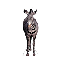 Load image into Gallery viewer, Advanced Graphics Zebra Life Size Cardboard Cutout Standup - AT TEN Distribution