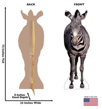 Load image into Gallery viewer, Advanced Graphics Zebra Life Size Cardboard Cutout Standup - AT TEN Distribution