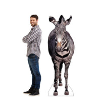 Load image into Gallery viewer, Advanced Graphics Zebra Life Size Cardboard Cutout Standup - AT TEN Distribution