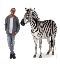 Load image into Gallery viewer, Advanced Graphics Zebra Life Size Cardboard Cutout Standup - AT TEN Distribution