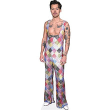 Load image into Gallery viewer, Harry E. Styles (Colourful) Life Size Cutout - AT TEN Distribution