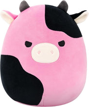Load image into Gallery viewer, Squishmallows
