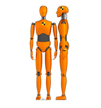 Load image into Gallery viewer, Crash Test Dummies set of two Cardboard Cutout
