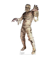 Mummy 3523
