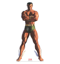 Load image into Gallery viewer, Life-size Cardboard Cutout of Sub-Mariner
