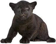 Wet Paint Printing + Design H38066 Black Leopard Cub Cutout