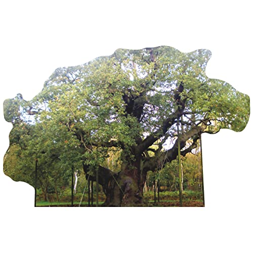 SP12626 Major Oak Robin Hood Shelter Famous Trees Cardboard Cutout Standee Standup