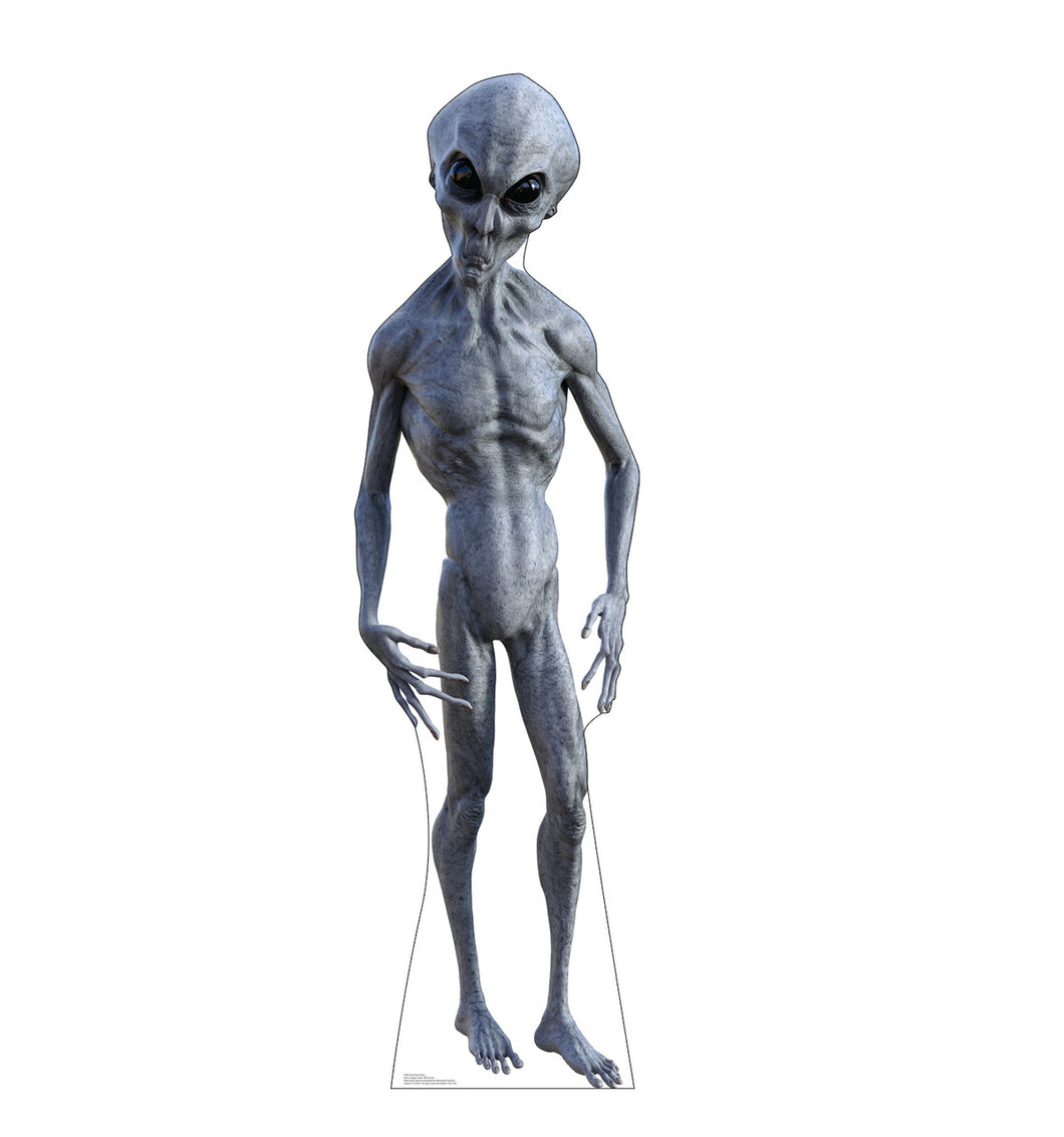 Black Eyed Alien Cardboard Cutout