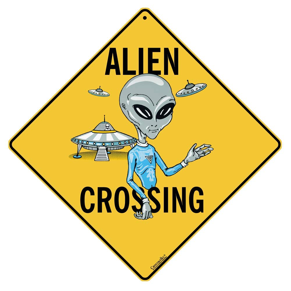 CROSSWALKS Alien Crossing 12