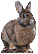 SP12504 Cute Bunny Rabbit Cardboard Cutout Standee Standup