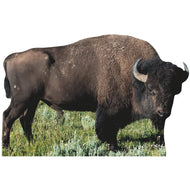SP12468 American Bison Cardboard Cutout Standee Standup