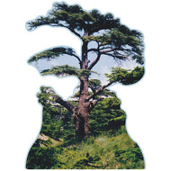 SP12629 Cedars of God Lebanon Tree Famous Trees Cardboard Cutout Standee Standup