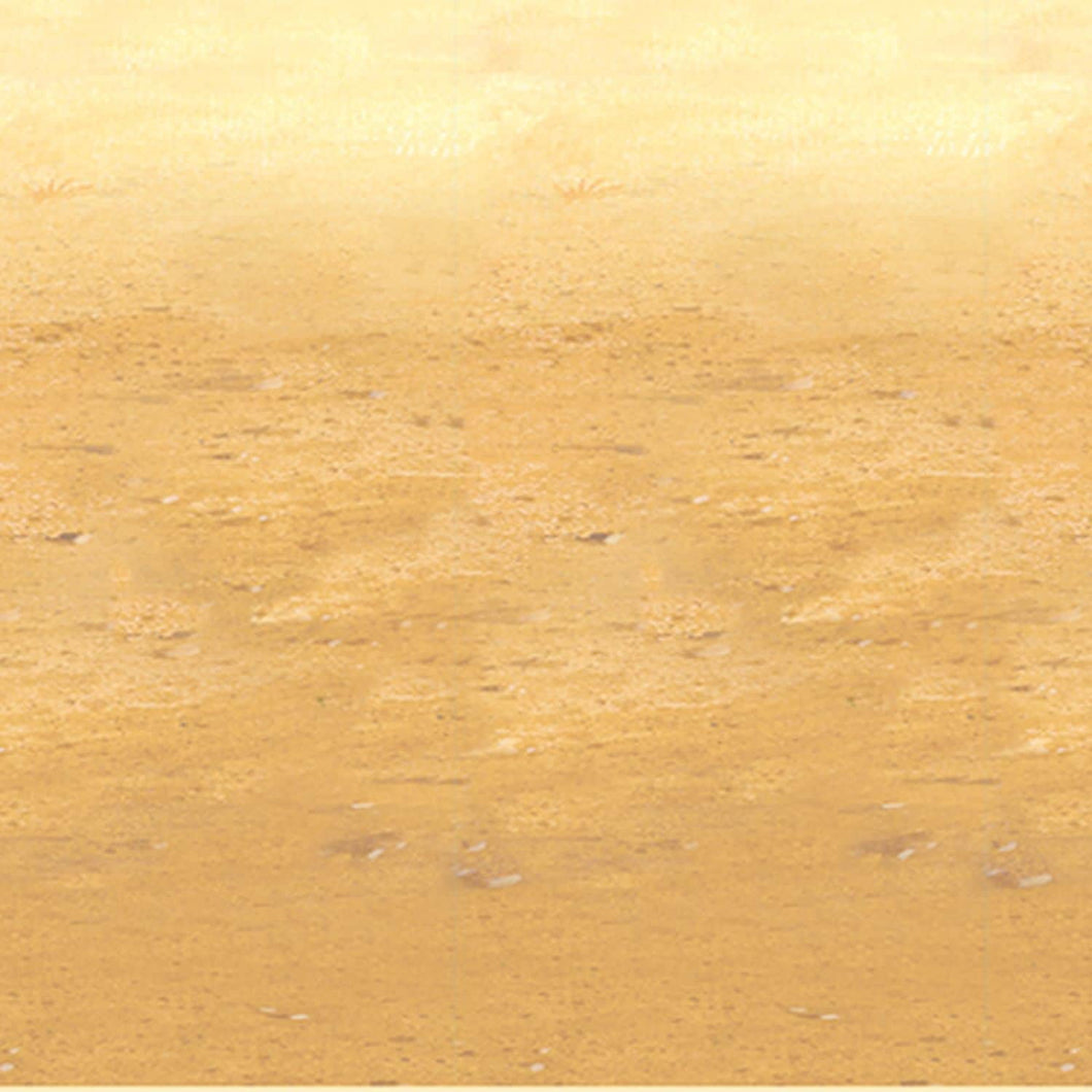 Beistle Desert Sand Backdrop (52036)
