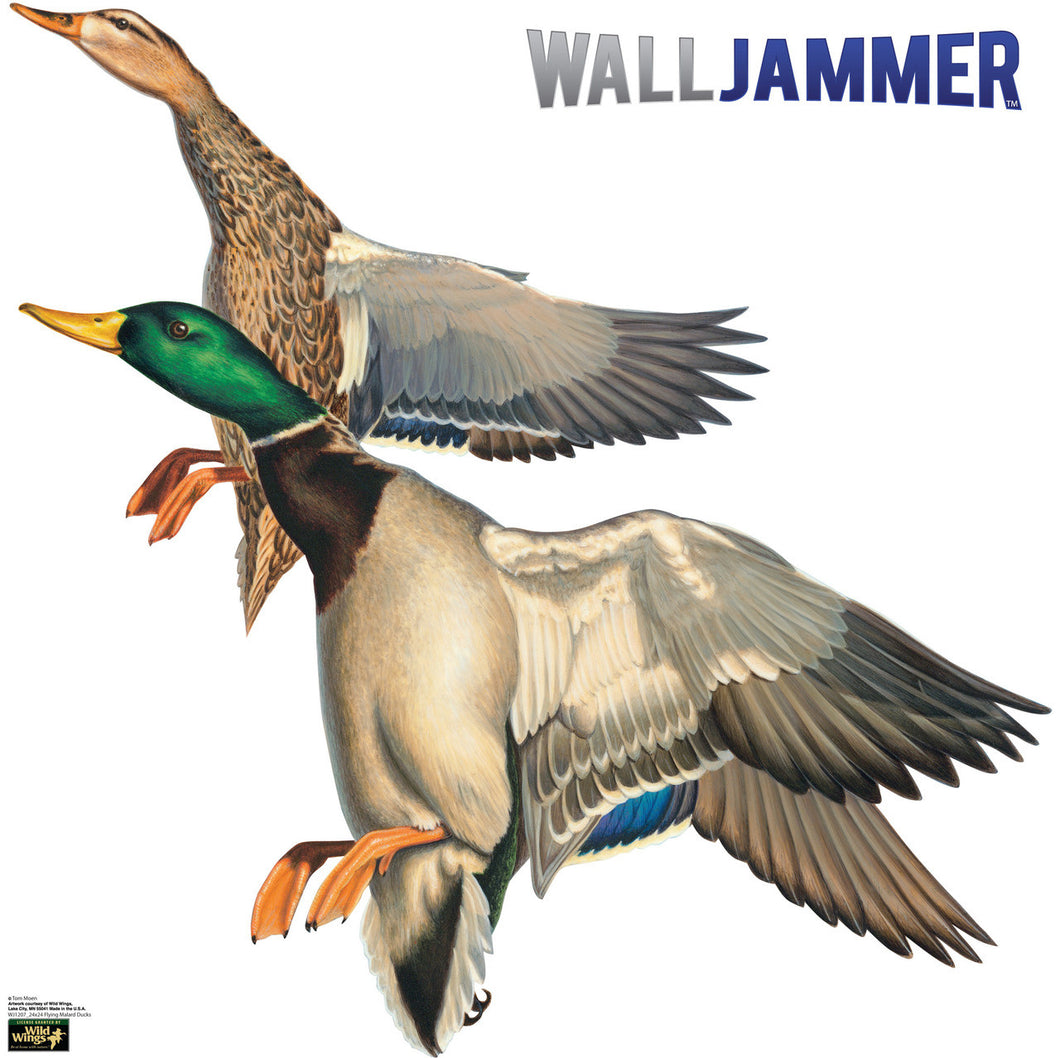 Flying Mallard Ducks WallJammer WJ1208