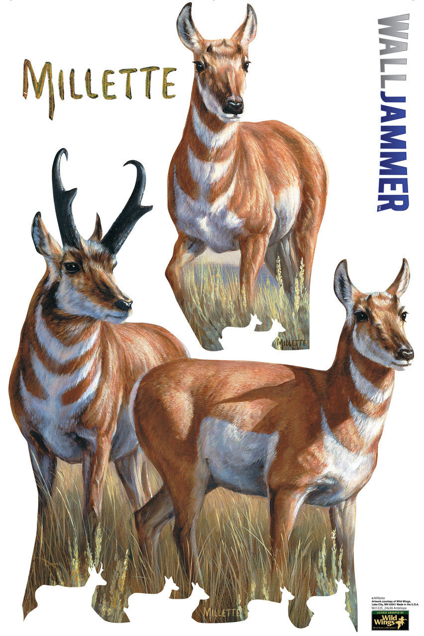 Antelope - WallJammers - Advanced Graphics