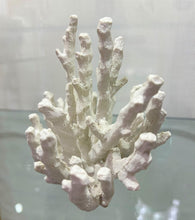 Load image into Gallery viewer, Abbott Collection 20-SEASHORE/16 RED Medium Red 3D Coral Branch Decorative Resin Figurine - AT TEN Distribution
