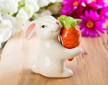 Load image into Gallery viewer, Abbott Collection Bunny &amp; Carrot Salt &amp; Pepper Shaker Set - Ceramic, White/Orange (3.5 inches H) - AT TEN Distribution
