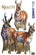 Antelope - WallJammers - Advanced Graphics - AT TEN Distribution